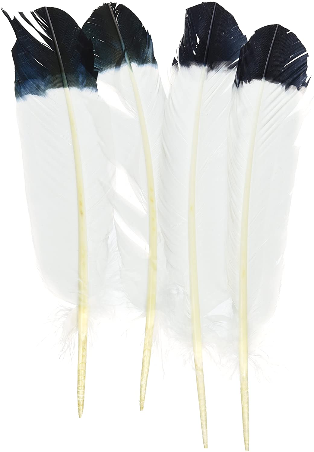 Tandy Leather Large Brim Feathers Slanted 4 / PK 5197-00