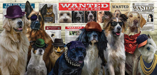 The Usual Suspects 1000