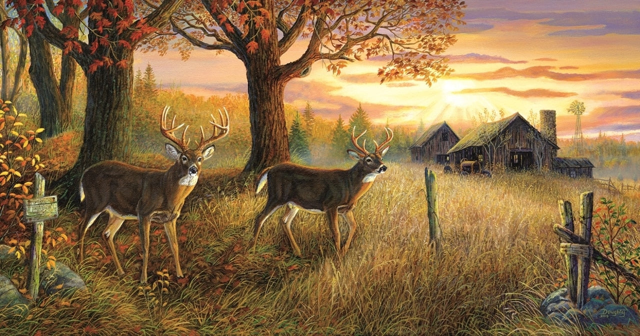 Unknown Sanctuary 1000