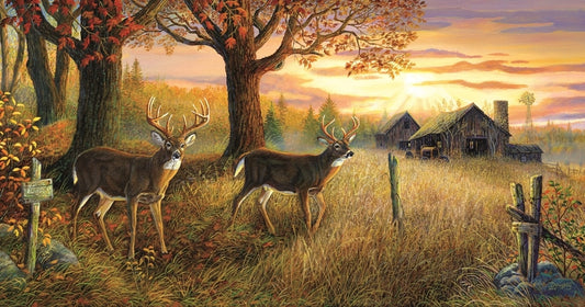 Unknown Sanctuary 1000