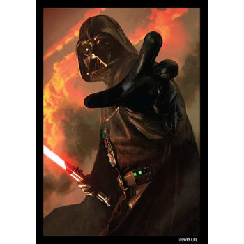 Star Wars: Power of the Dark Side - Darth Vader Sleeves