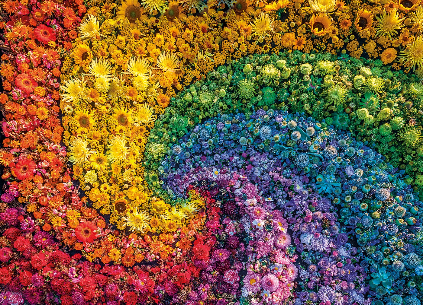 Whirl - 1000 pcs - ColorBoom