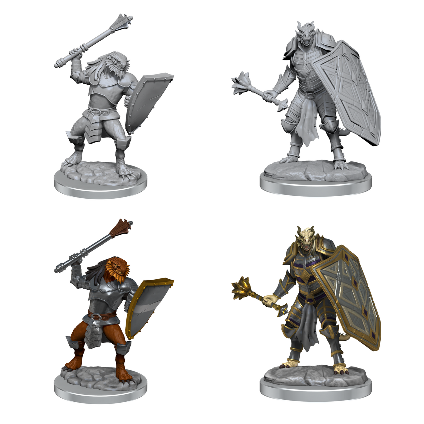 D&D Nolzur's WK90522 Dragonborn Clerics D&D WV18